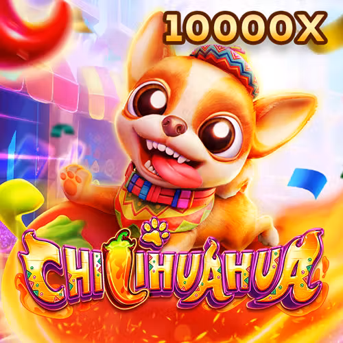 88vinzon Fa Chai Chihuahua